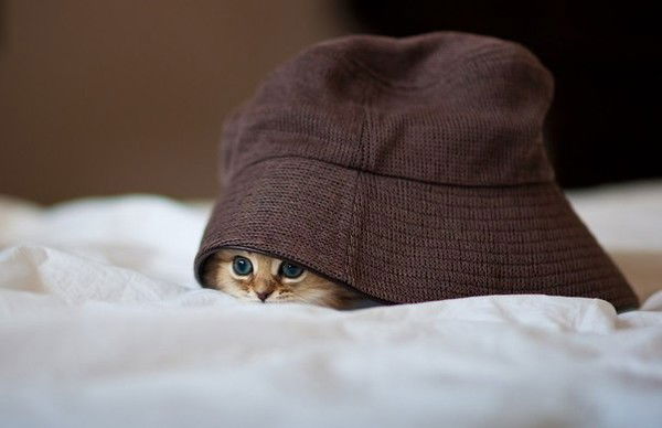 Наталья Капустина