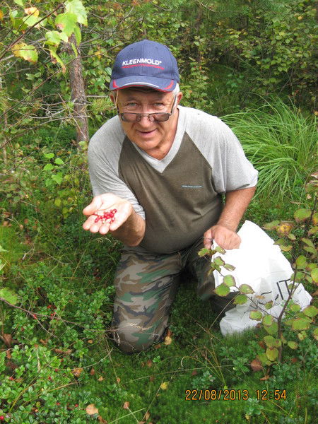 Александр Коношевич