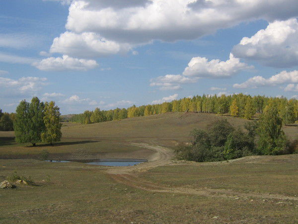 Алсу Домнина