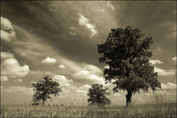 Виктор Леденёв