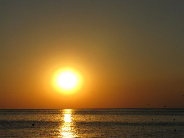 Сергей Лемешко