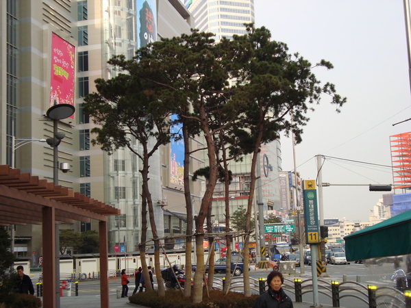 Игорь Щербов