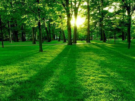 Gulshat Jumaniyazova