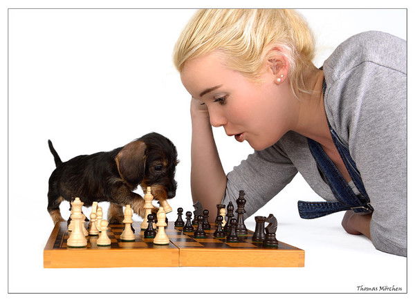 Людмила Старчикова-Токарева