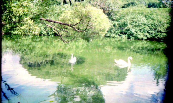 Александр S