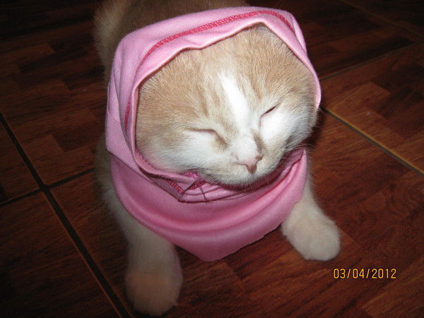 Яна Галимова