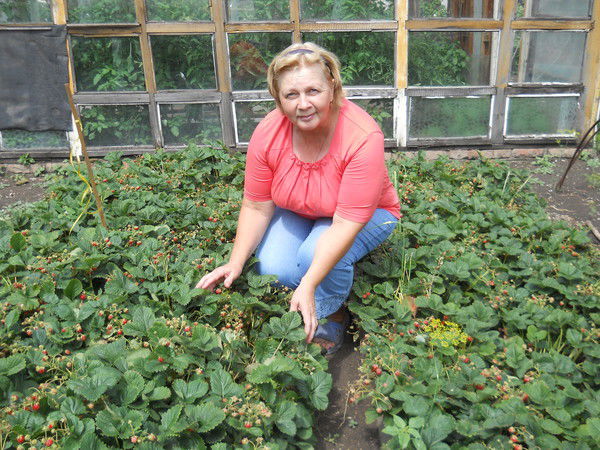 Наталья Курасова