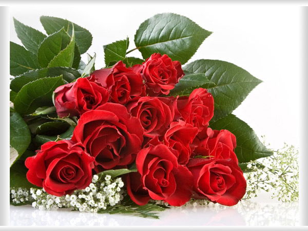 Aktolkin Tokbergenova