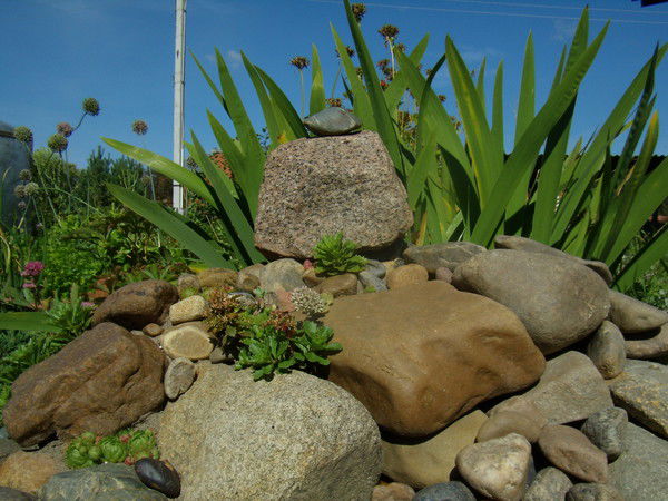 Дмитрий Макаров