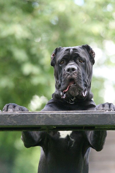 Алена Ларионова