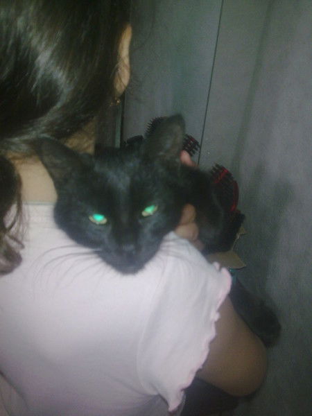 Виктория Клименко