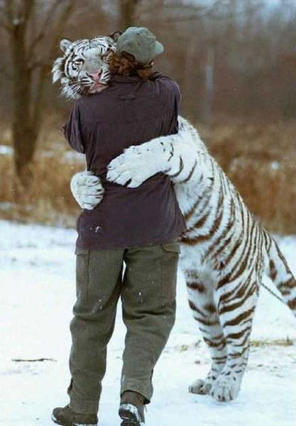 Галина Борисенко