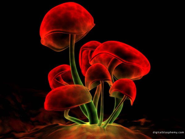 Антон Категоренко