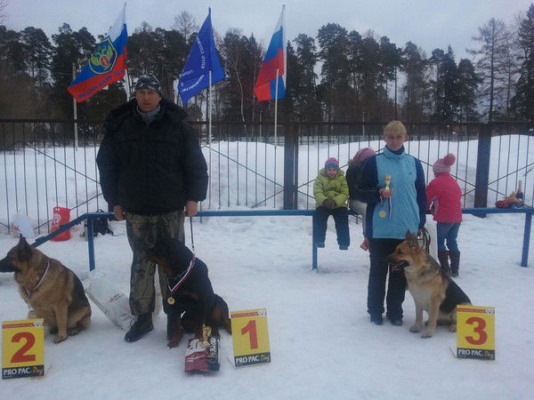 Светлана Усенко