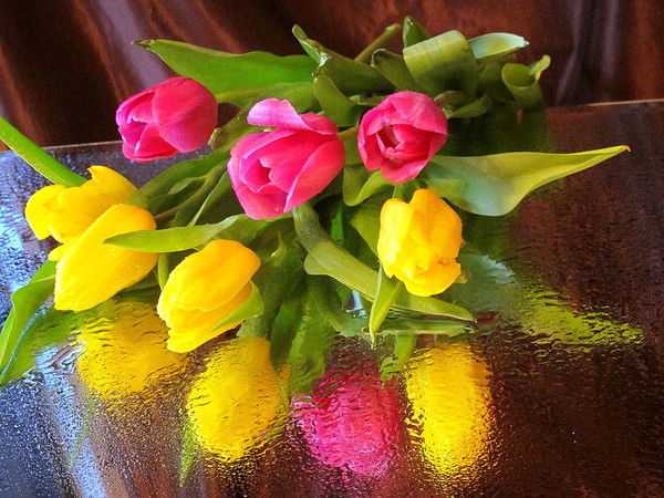 Хабиба Гафурова