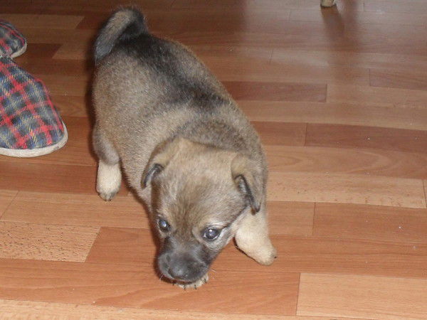 Олег Гусаков