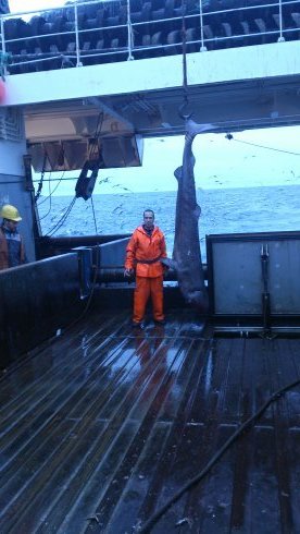 Алексей Ершов