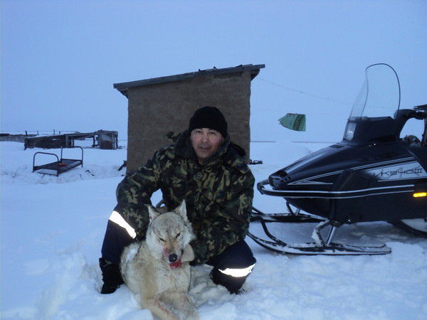 Дидар Дауов