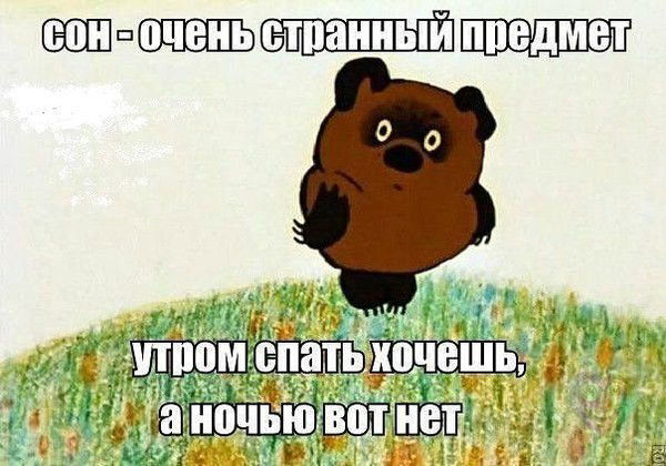 Альбина Сохова