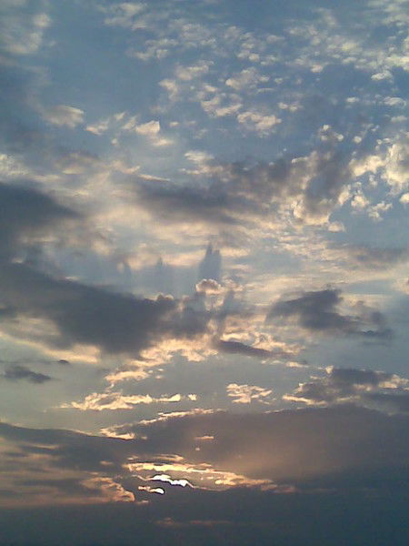 Светлана Новикова