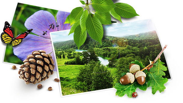 Школа Д.елышево