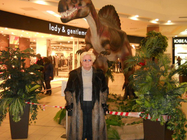 Нина Никитина