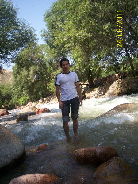 Арман Сулейменов