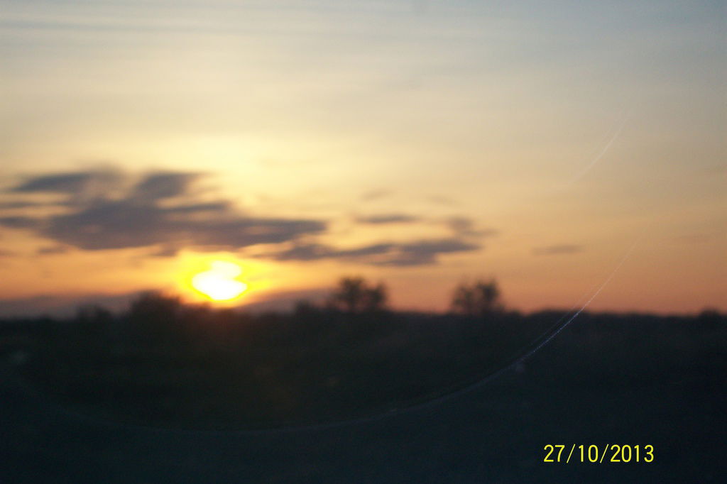 Гульнара Омербаева