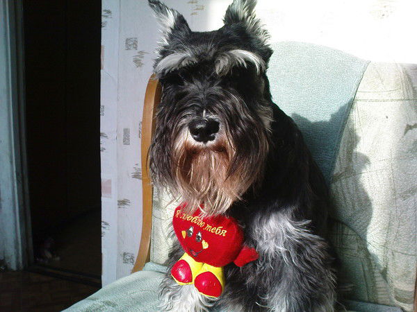 Марина Малынова