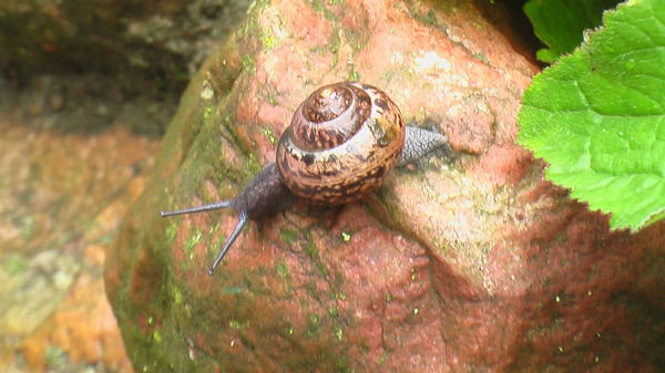 Дмитрий Барсуков