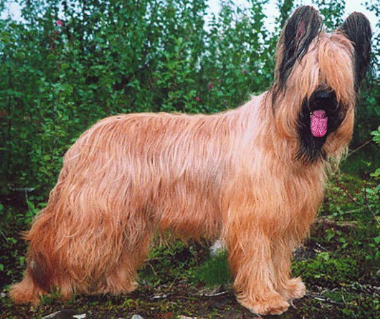 Михаил Митин