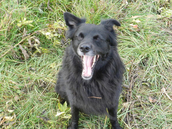 Марина Шаяхметова