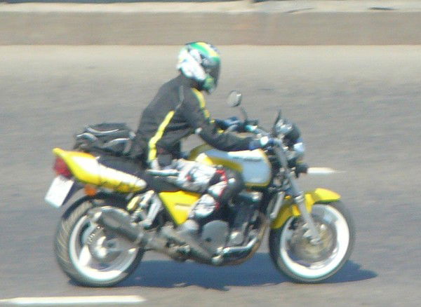 Алексей Павлов