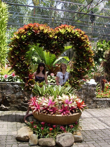 Анна Вдовушкина