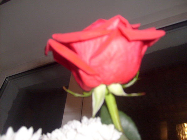 Климова Елена