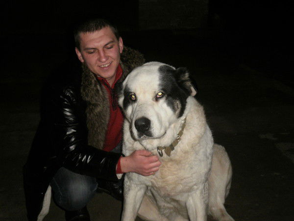 Андрей Панасенко