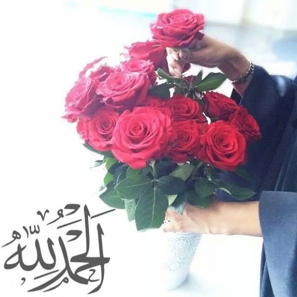 Jyldyz Abdylbaky Kyzy