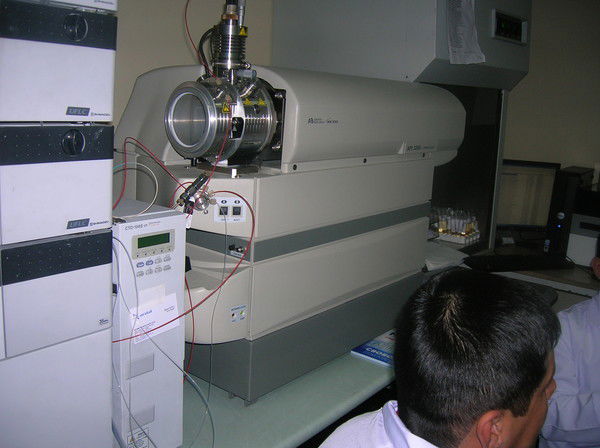 Тимур Бесфамильный