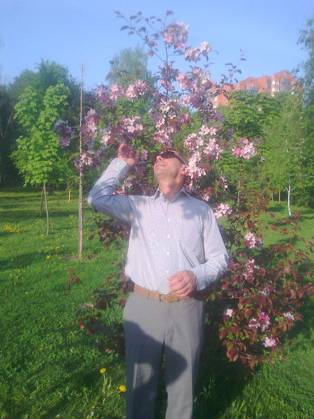 Шафик Гашимов