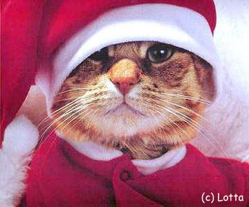 Ильдар Ахмадуллин