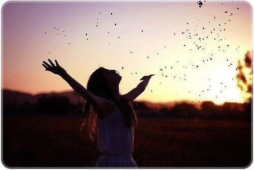 Колос Касса 12