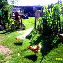 Галина Пархоменко