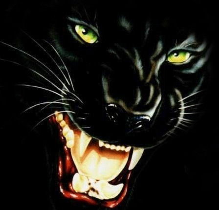 Тимофей Чепкасов