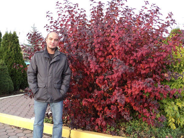 Александр Абдуллаев