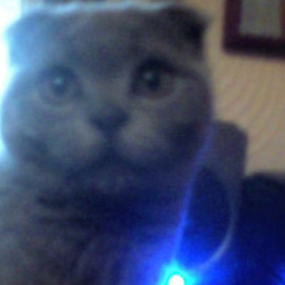 Илья Тимофеев