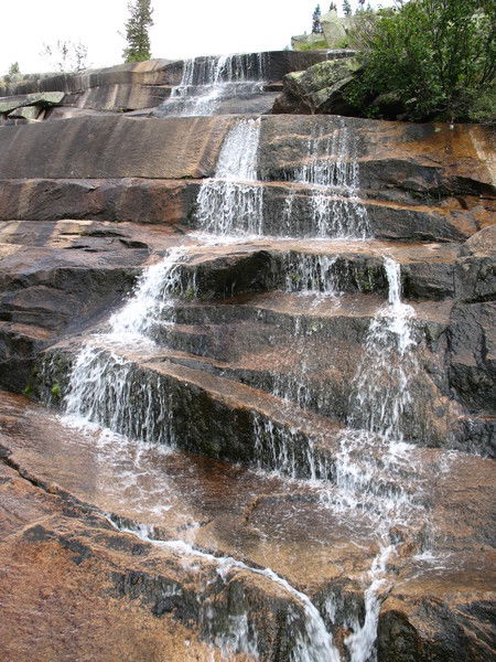 Василий Гурков