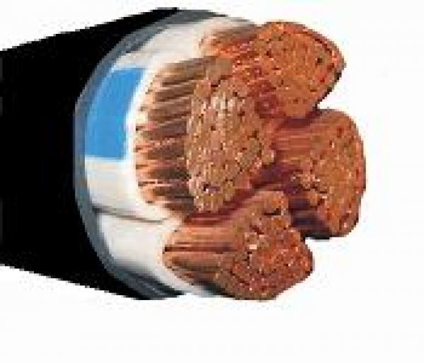 Тимур Taurbayev