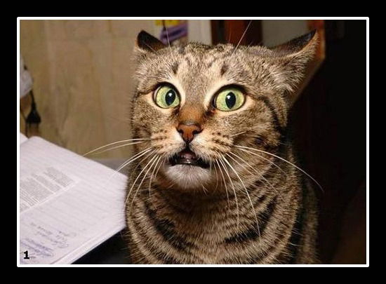 ***алексей Суслов***