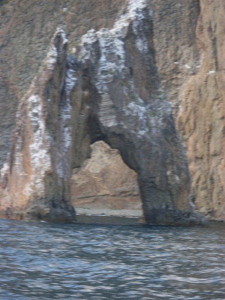 Ольга Одинец