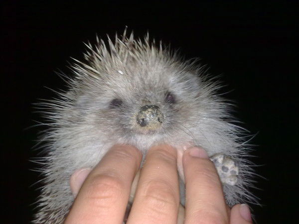 Александр Alex